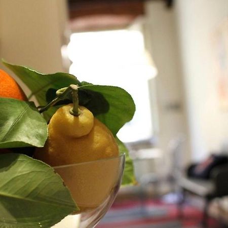 Appartement Delicious Santa Croce à Lucques Extérieur photo