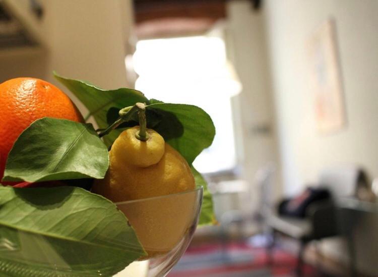 Appartement Delicious Santa Croce à Lucques Extérieur photo